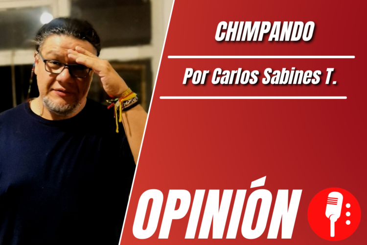 Opinión de Carlos Sabines T.