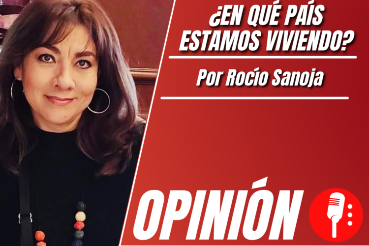 Opinión de Rocío Sanoja