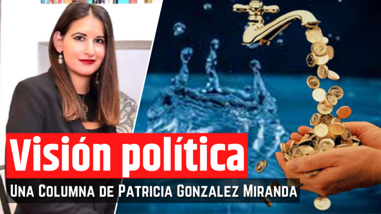 Opinión de la Mtra. Patricia González Miranda