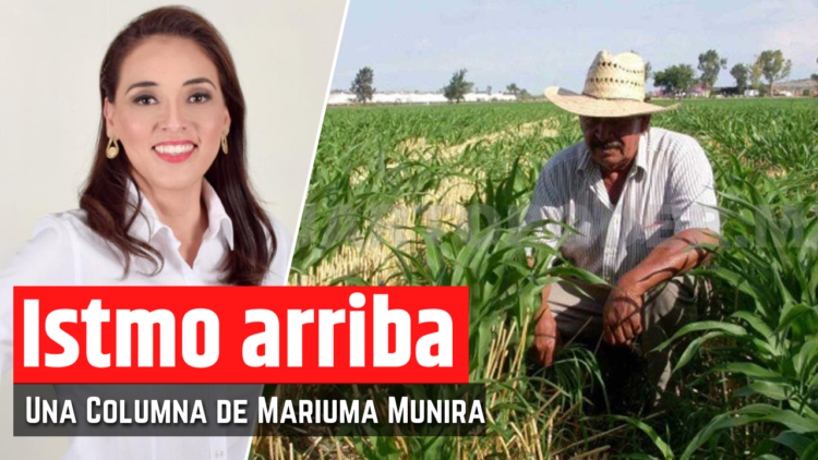 Opinión de Mariuma Munira