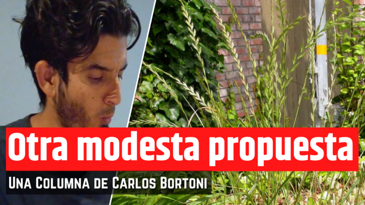 Opinión de Carlos Bortoni