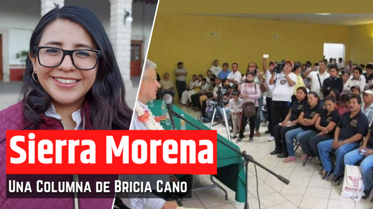 Opinión de Bricia Cano