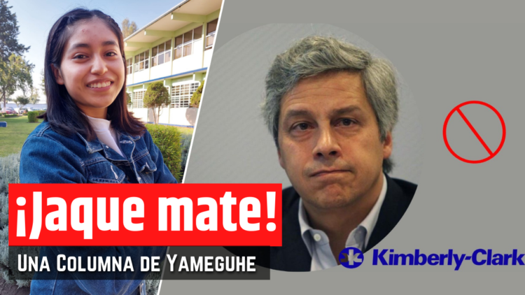 Opinión de Yameguhe
