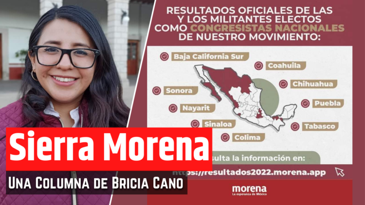 Opinión de Bricia Cano