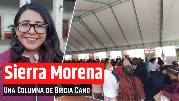Opinión de Bricia Cano