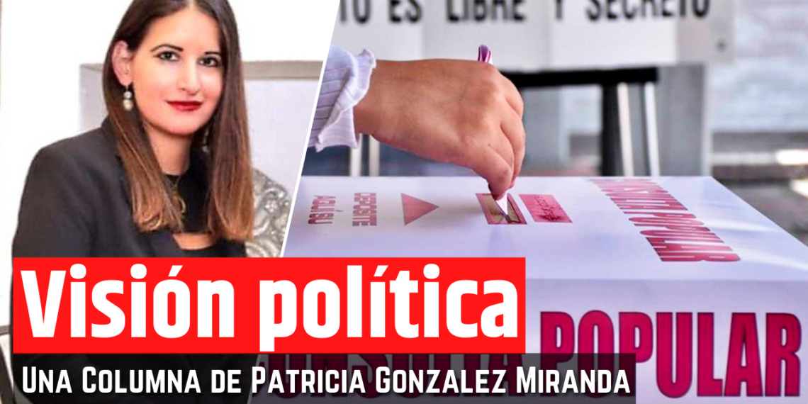 Opinión de la Mtra. Patricia González Miranda