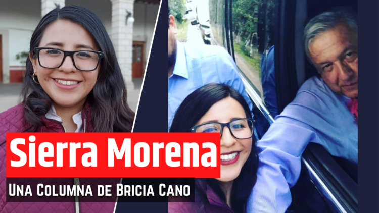 Opinión de Bricia Cano