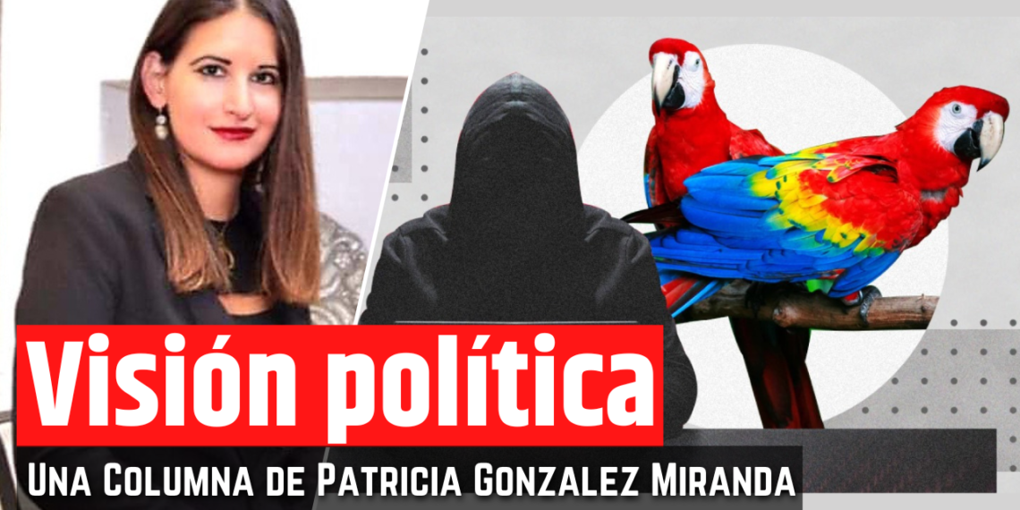 Opinión de la Mtra. Patricia González Miranda