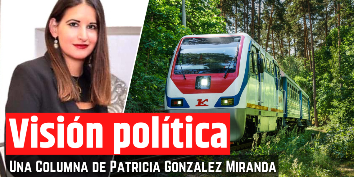 Opinión de la Mtra. Patricia González Miranda