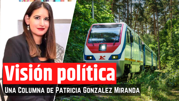 Opinión de la Mtra. Patricia González Miranda