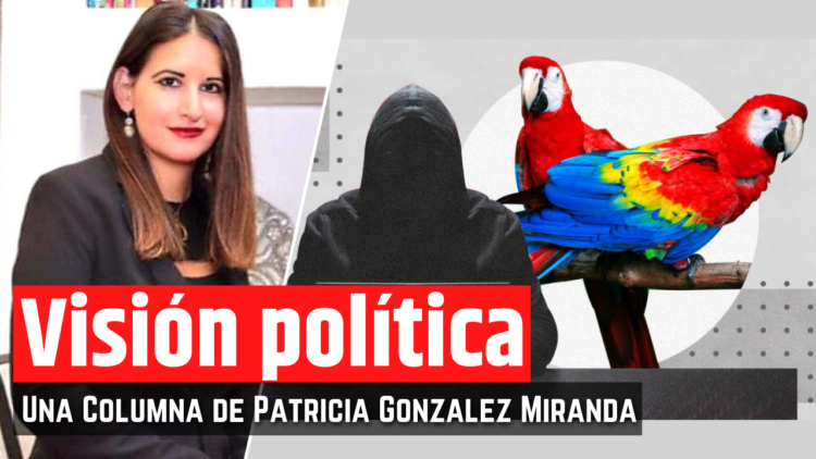 Opinión de la Mtra. Patricia González Miranda