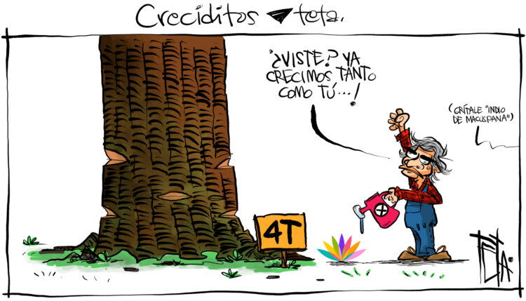 Teta Monero