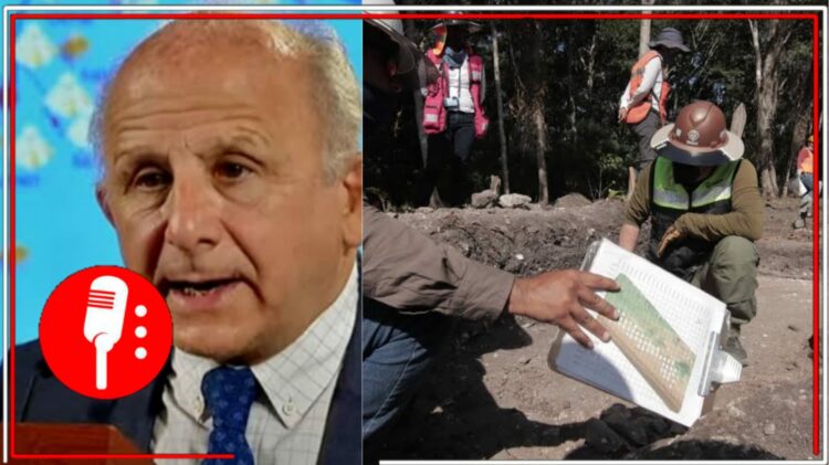 Imágenes tomadas de eleconomista.com.mx
