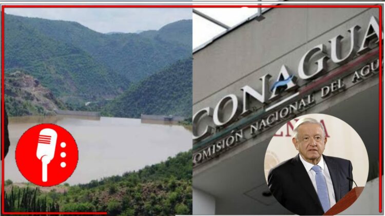 Imágenes: @canalcatorcemx, www.milenio.com y www.elsoldesanluis.com.mx