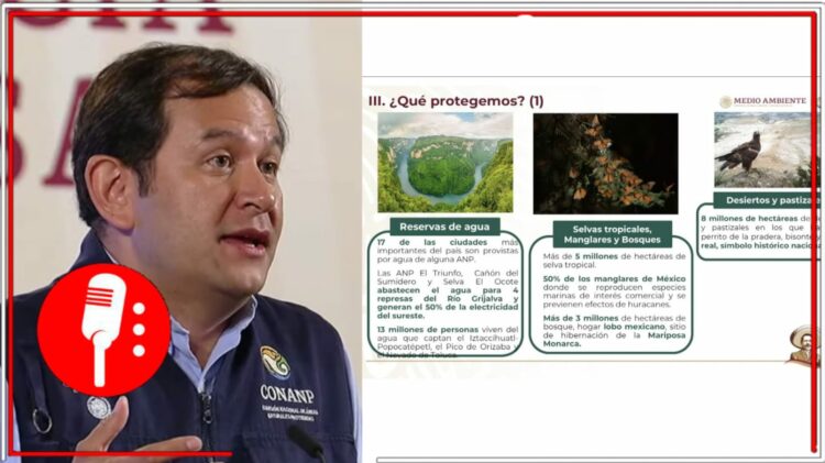 Imágenes: @canalcatorcemx y @spdnoticias