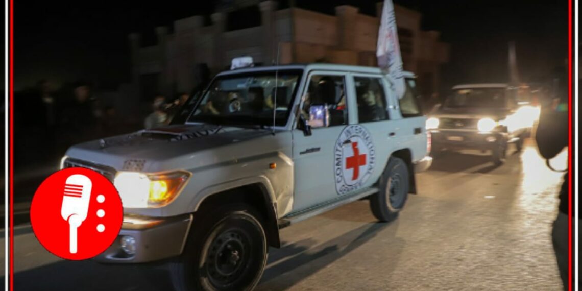 Cruz Roja traslada a personas liberadas por Israel. Foto: Xinhua.