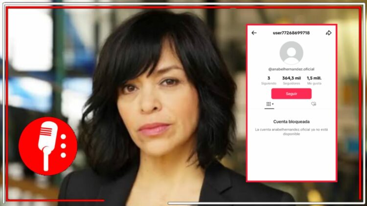 Anabel Hernández. Foto: vía forbes México /Captura de pantalla TikTok
