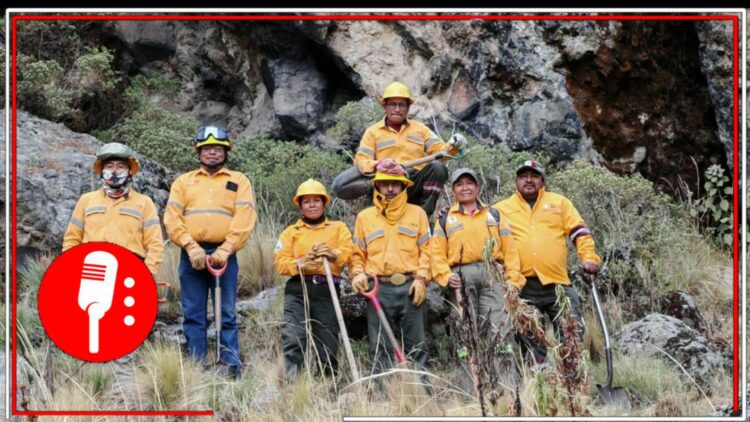 brigadas contra incendios forestales CDMX