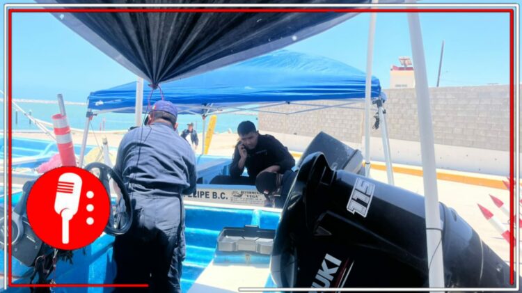 México lanza operativo satelital para combatir pesca ilegal de Totoaba